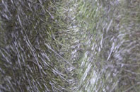 Rickerby fibreglass roof work